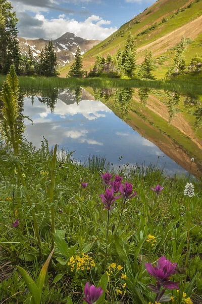 USA, Colorado, Gunnison National Forest. Paradise Divide and pond reflection. Credit as