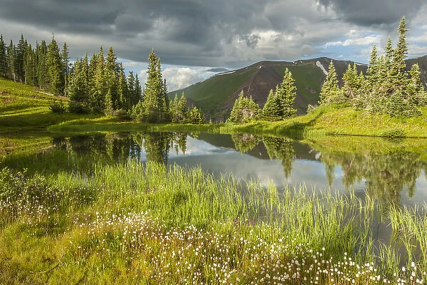 USA, Colorado, Gunnison National Forest. Paradise Divide and pond reflection. Credit as