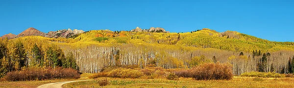 USA, Colorado, Gunnison National Forest. Panoramic of mountain and aspen forest in autumn