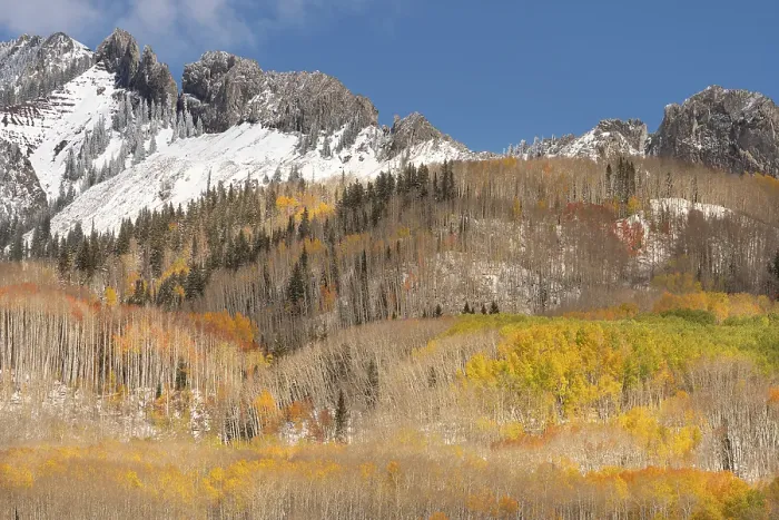 Framed Print : USA, Colorado, Gunnison National Forest. Mountain ridge and forest landscape in autumn. ©Don Grall  /  Jaynes Gallery  /  DanitaDelimont.com