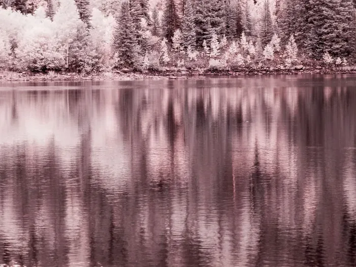Framed Print : USA, Colorado. Infrared of Aspen trees reflecting in Lost Lake Framed Print : USA, Colorado. Infrared of Aspen trees reflecting in Lost Lake