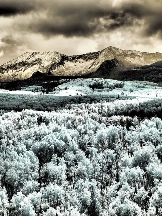 Framed Print : USA, Colorado. Infrared of Aspens with mountain range in fresh snow