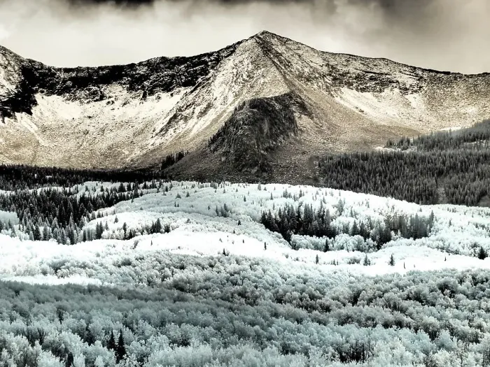 Framed Print : USA, Colorado. Infrared of Aspens with mountain range in fresh snow Framed Print : USA, Colorado. Infrared of Aspens with mountain range in fresh snow