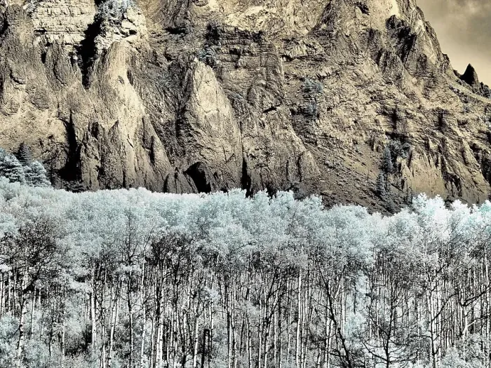 Framed Print : USA, Colorado. Infrared of Aspens against rock wall Framed Print : USA, Colorado. Infrared of Aspens against rock wall