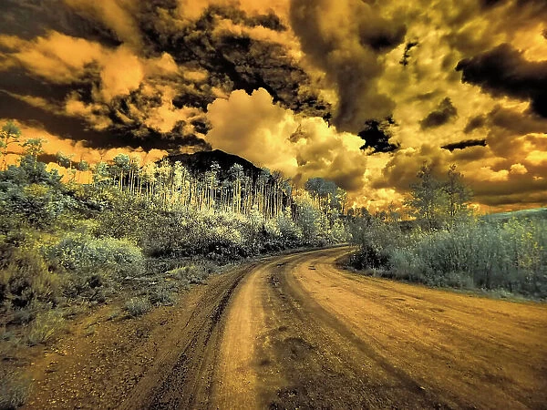 USA, Colorado. Infrared of road through Kebler Pass