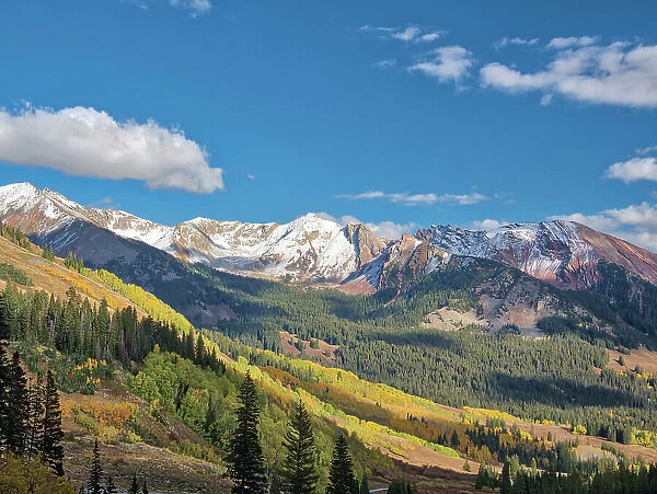 USA, Colorado, Kebler Pass. Fall foliage and Aspen trees at their peak, near Crested Butte
