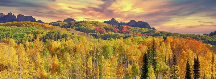 Framed Print : USA, Colorado, Kebler Pass. panorama of the autumn color on Kebler Pass Framed Print : USA, Colorado, Kebler Pass. panorama of the autumn color on Kebler Pass