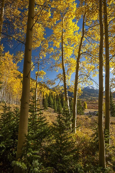 USA, Colorado. Landscape in San Juan Mountains