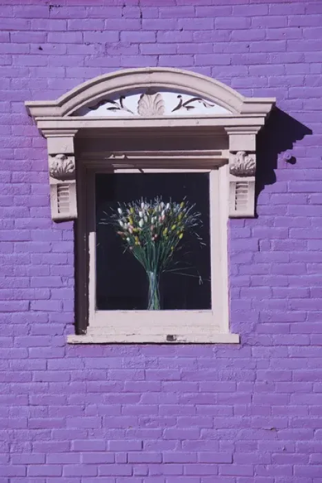 Framed Print : USA, Colorado, Leadville, purple wall wth flowers in window