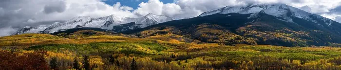 Framed Print : USA, Colorado. Light dappled Aspen forests, Kebler Pass, Gunnison National Forest Framed Print : USA, Colorado. Light dappled Aspen forests, Kebler Pass, Gunnison National Forest