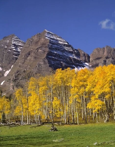 USA, Colorado, Maroon Bells. A gold-leafed aspen forest highlights the peaks of Maroon Bells