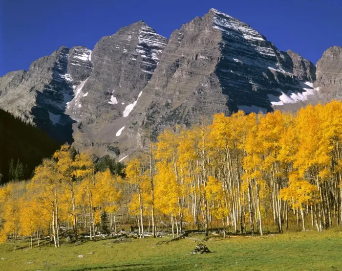 Framed Print : USA, Colorado, Maroon Bells. A golden aspen forest softens the stark, grey peaks of Maroon Bells