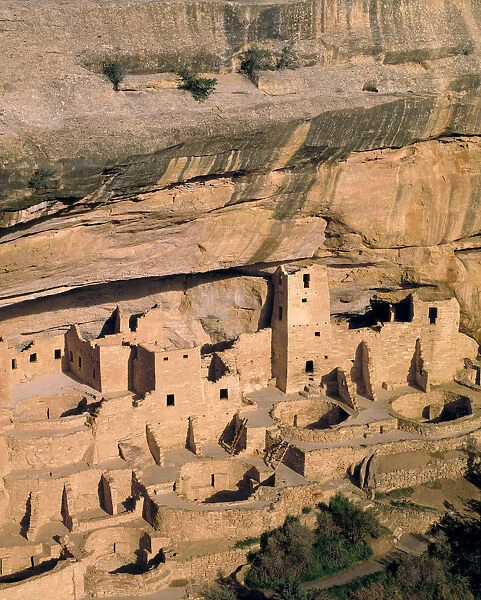 USA, Colorado, Mesa Verde NP. Anasazi Indians abandoned their villages, such as Cliff