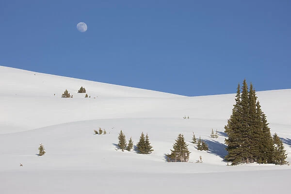 USA, Colorado. Moon rise above the Continental Divide