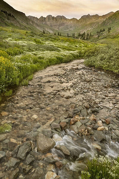 USA, Colorado. Mountain landscape with wildflowers and stream