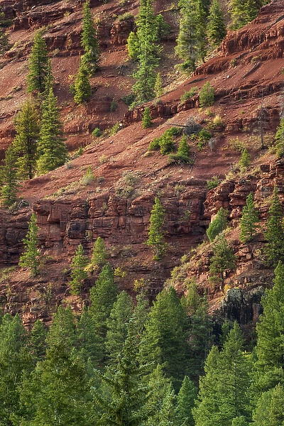USA, Colorado. Mountain scenic. Credit as: Dennis Flaherty  /  Jaynes Gallery  /  DanitaDelimont