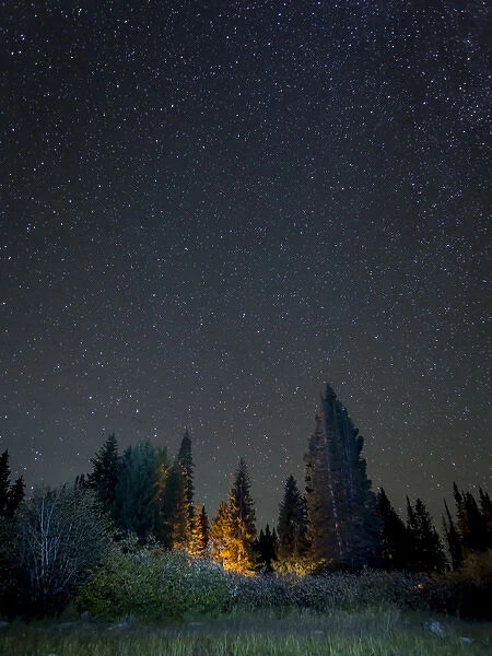 USA, Colorado. Night sky at Lost Lake Slough