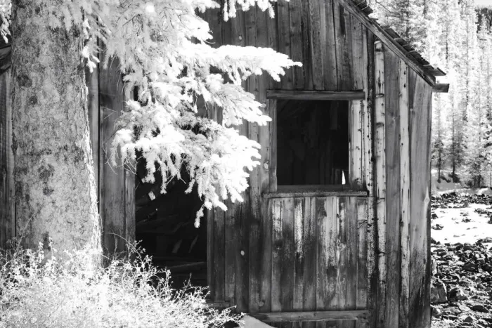 Framed Print : USA, Colorado, Old Mining Shack Framed Print : USA, Colorado, Old Mining Shack
