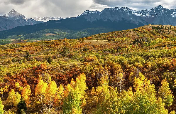 USA, Colorado. Panoramic of San Juan Mountains and valley forest in autumn