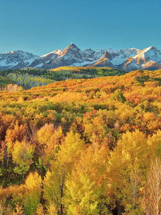 Framed Print : USA, Colorado, Quray. Dallas Divide, sunrise on the Mt. Snaffles with autumn colors Framed Print : USA, Colorado, Quray. Dallas Divide, sunrise on the Mt. Snaffles with autumn colors