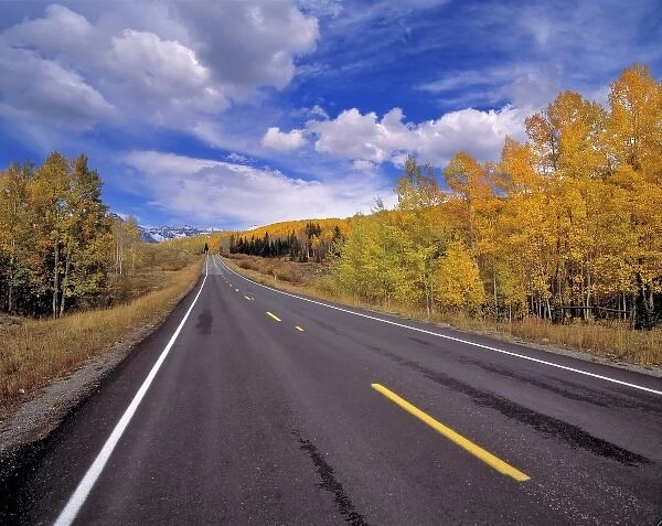 USA, Colorado, Red Mountain Pass. The colors of autumn fill this view of Highway 550