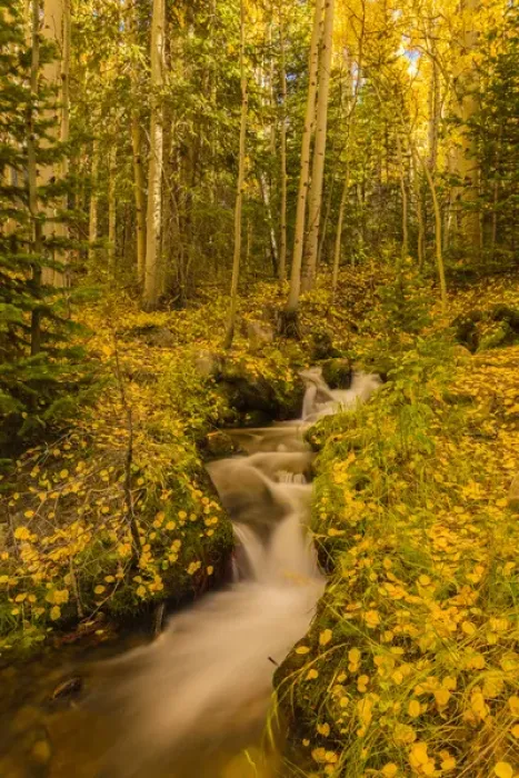 Framed Print : USA, Colorado, Rocky Mountain National Park. Waterfall in forest scenic. Credit as