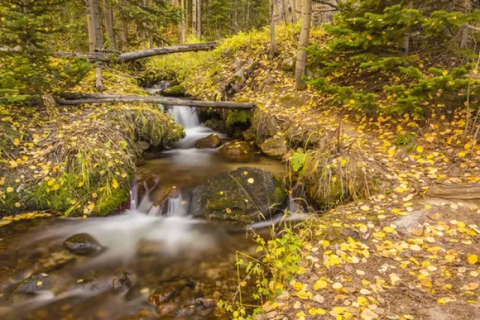 Framed Print : USA, Colorado, Rocky Mountain National Park. Waterfall in forest scenic. Credit as Framed Print : USA, Colorado, Rocky Mountain National Park. Waterfall in forest scenic. Credit as