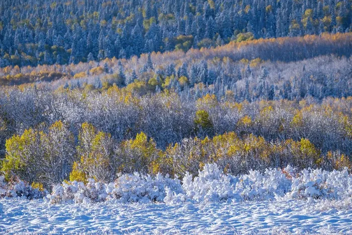 Framed Print : USA, Colorado, Rocky Mountain National Park, late fall