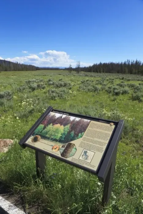 Framed Print : USA, Colorado, Rocky Mountain National Park, interpretive sign about beetle kill Framed Print : USA, Colorado, Rocky Mountain National Park, interpretive sign about beetle kill