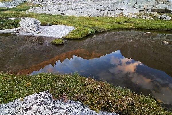 USA, Colorado, Rocky Mountain NP. A mountain pond reflects the last light on Longs Peak