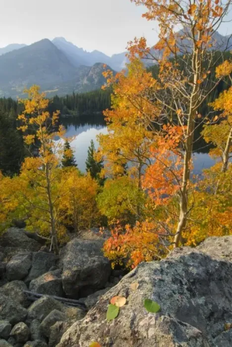 Framed Print : USA, Colorado, Rocky Mountain NP. Fall colors on aspens above Bear Lake and Longs Peak Framed Print : USA, Colorado, Rocky Mountain NP. Fall colors on aspens above Bear Lake and Longs Peak