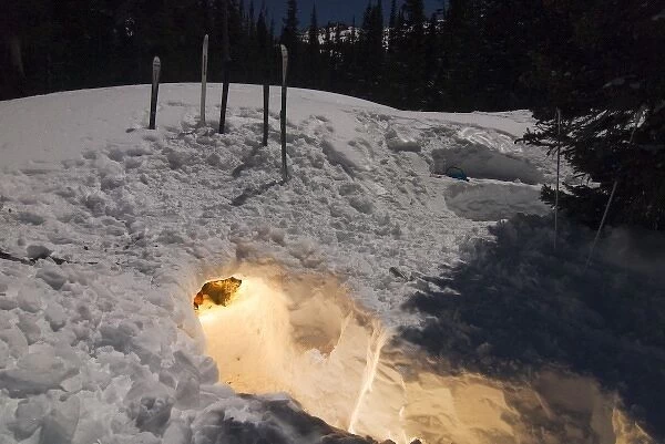 USA, Colorado, Rocky Mountain NP. A snowcave emanates a soft glow on a winter night