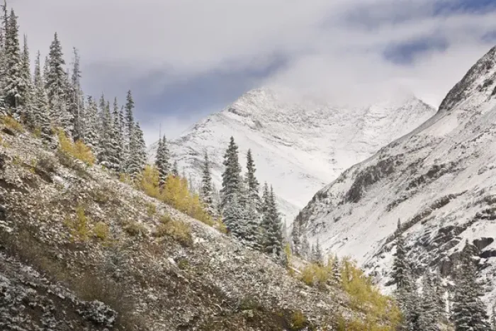 Framed Print : USA, Colorado, Rocky Mountains, Cinnamon Pass. Autumn snowfall blankets mountains Framed Print : USA, Colorado, Rocky Mountains, Cinnamon Pass. Autumn snowfall blankets mountains