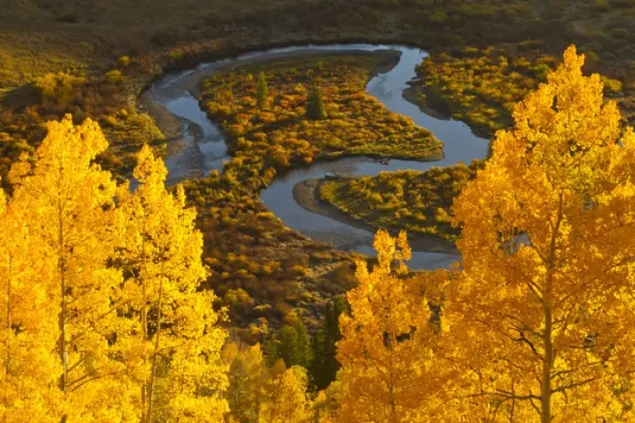 Framed Print : USA, Colorado, Rocky Mountains, Gunnison National Forest. Autumn-colored aspens overlook East River