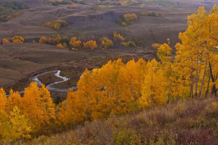 Framed Print : USA, Colorado, Rocky Mountains, Gunnison National Forest. Autumn-colored aspens overlook East River Framed Print : USA, Colorado, Rocky Mountains, Gunnison National Forest. Autumn-colored aspens overlook East River
