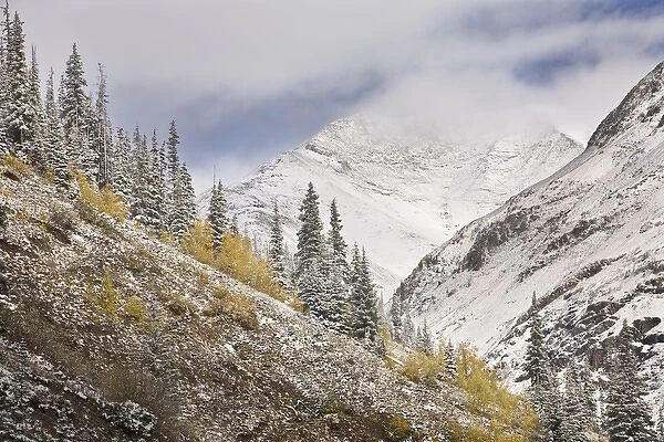 USA, Colorado, Rocky Mountains, Cinnamon Pass. Autumn snowfall blankets mountains