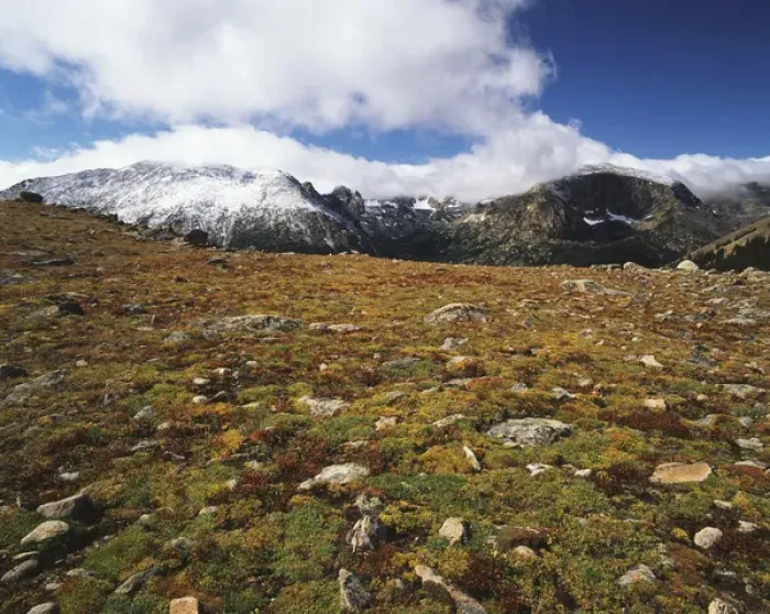 Framed Print : USA, Colorado, Rocky Mountains National Park, Alpine tundra in early autumn Framed Print : USA, Colorado, Rocky Mountains National Park, Alpine tundra in early autumn