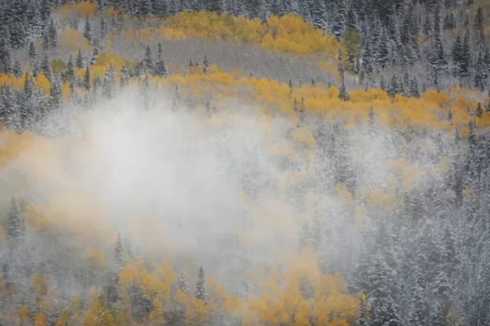 Framed Print : USA, Colorado, San Juan Mountains. Fog on mountainside