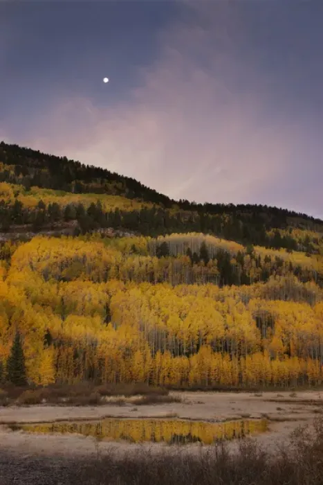 Framed Print : USA, Colorado, San Juan Mountains. Autumn-colored trees reflect in mountain pond at sunrise Framed Print : USA, Colorado, San Juan Mountains. Autumn-colored trees reflect in mountain pond at sunrise