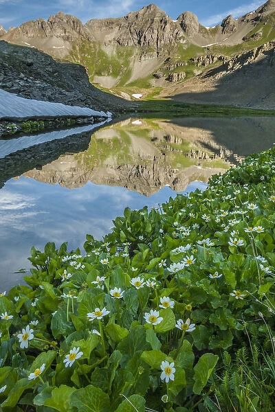 USA, Colorado, San Juan Mountains. Clear Lake reflection and marigolds. Credit as