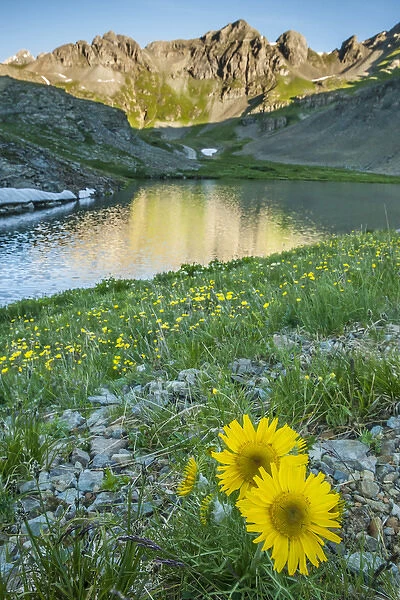 USA, Colorado, San Juan Mountains. Clear Lake and alpine sunflowers
