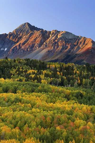 USA, Colorado, San Juan Mountains. Mount Wilson and autumn-colored forest. Credit as