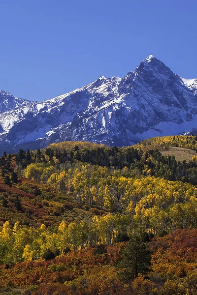 USA, Colorado, San Juan Mountains. Mountain and forest in autumn