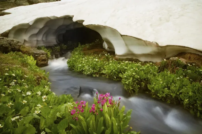 Framed Print : USA, Colorado, San Juan Mountains. Stream rushing under snow bank Framed Print : USA, Colorado, San Juan Mountains. Stream rushing under snow bank