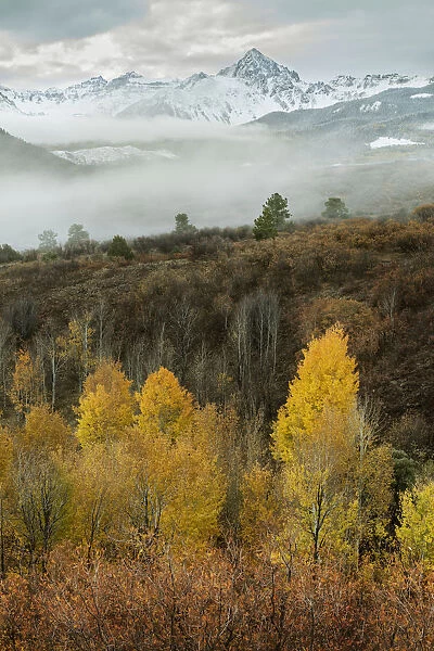 USA, Colorado, San Juan Mountains. Morning fog on mountain and forest landscape. Credit as