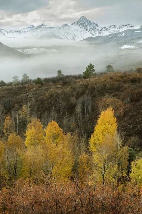 Framed Print : USA, Colorado, San Juan Mountains. Morning fog on mountain and forest landscape. Credit as Framed Print : USA, Colorado, San Juan Mountains. Morning fog on mountain and forest landscape. Credit as