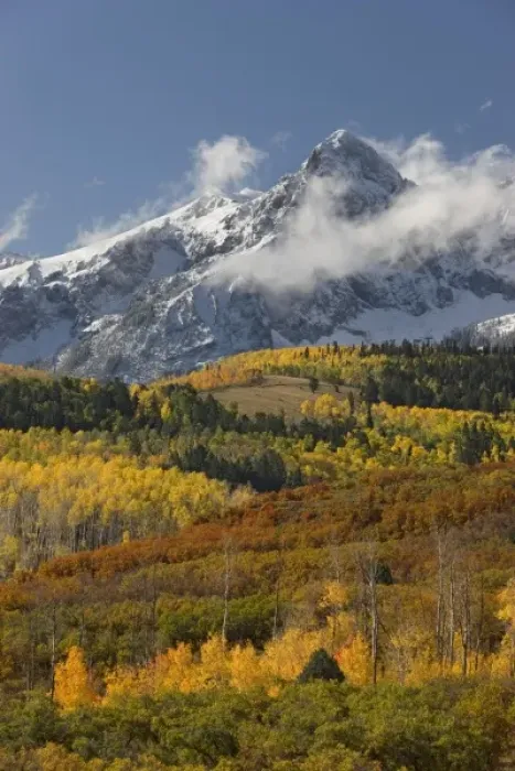 Framed Print : USA, Colorado, San Juan Mountains, Uncompahgre National Forest. Autumn-colored forest Framed Print : USA, Colorado, San Juan Mountains, Uncompahgre National Forest. Autumn-colored forest