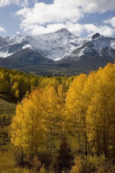 USA, Colorado, San Juan Mountains, Uncompahgre National Forest. Fresh snow on North