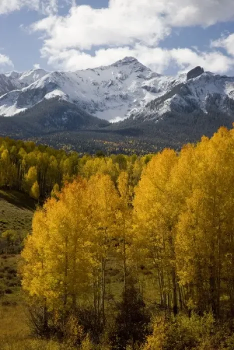 Framed Print : USA, Colorado, San Juan Mountains, Uncompahgre National Forest. Fresh snow on North Framed Print : USA, Colorado, San Juan Mountains, Uncompahgre National Forest. Fresh snow on North
