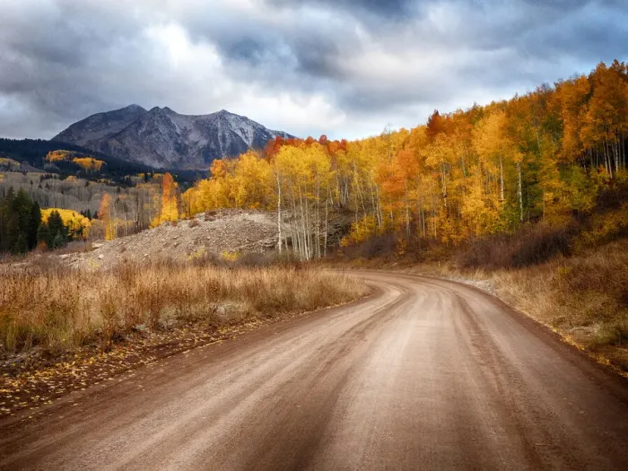 Framed Print : USA, Colorado, San Juan Mts. Road leading through an aspen grove towards East Beckwith Framed Print : USA, Colorado, San Juan Mts. Road leading through an aspen grove towards East Beckwith